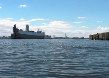 舞洲カヤックツアーのアイキャッチ画像